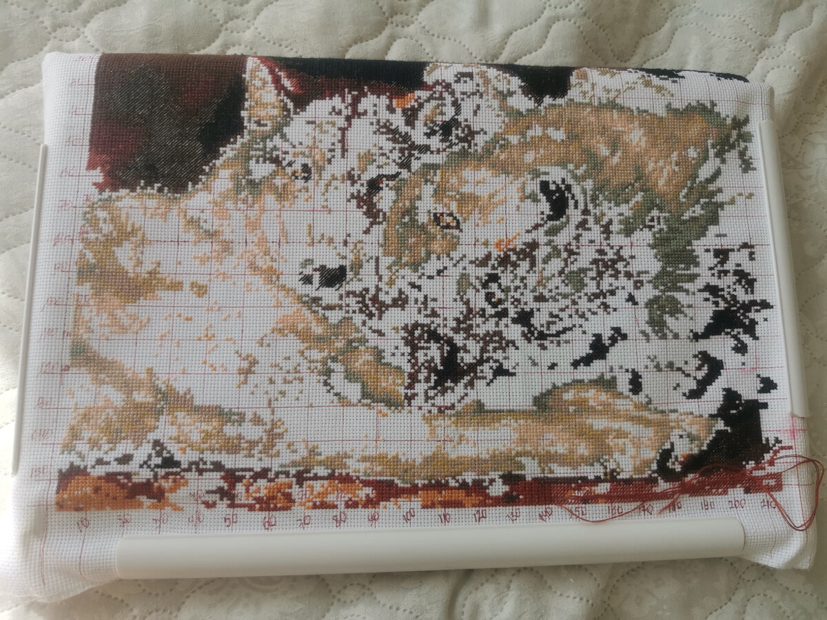 Анна в отпуск взяла вышивать "Пару волков"