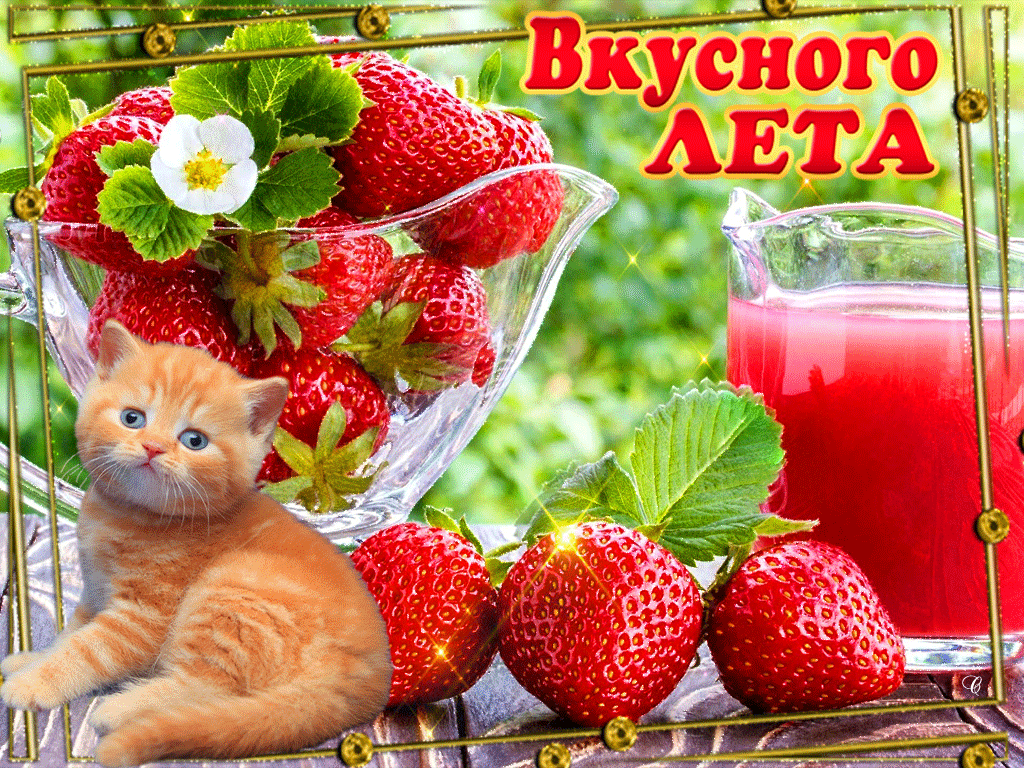 Источник фото: открытые источники Яндекс Картинки