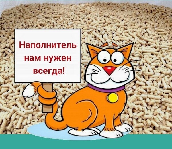 Котику нужна помощь картинки