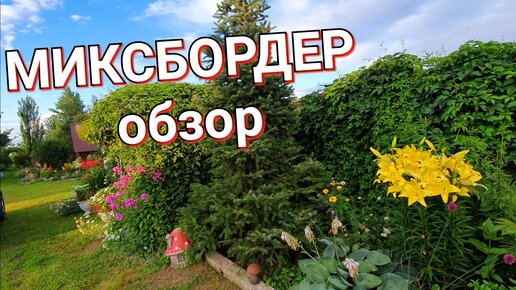 Как сделать миксбордер на участке своими руками: схемы, фото, видео