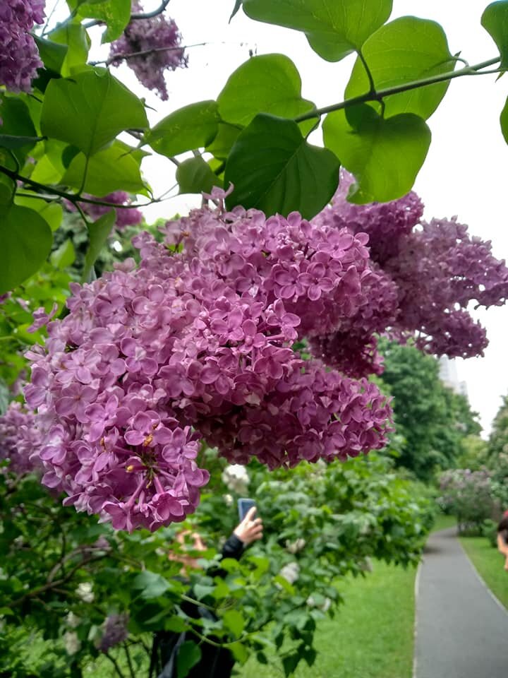 Фото автора.