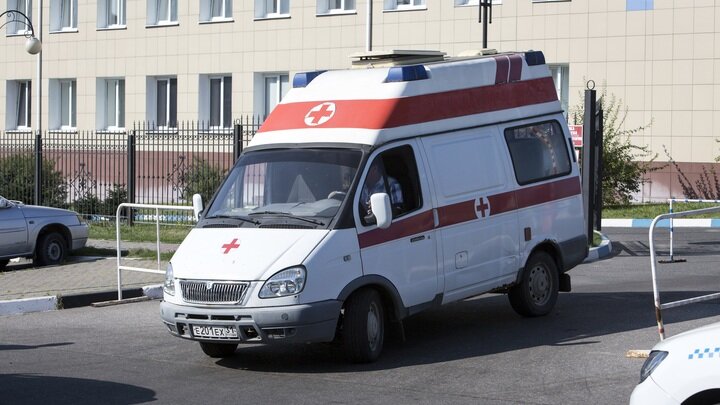 ФОТО: NIKOLAY GYNGAZOV/GLOBALLOOKPRESS