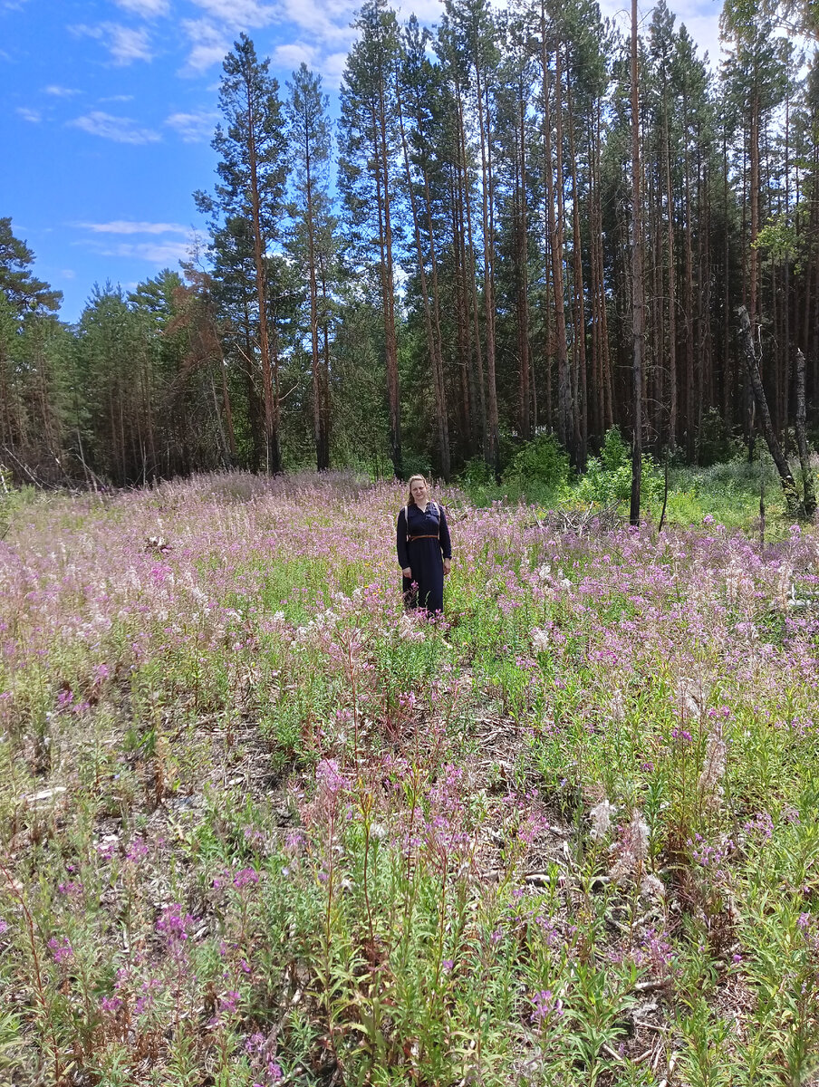 Поле кипрея