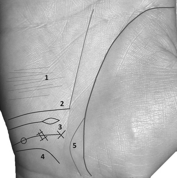 Линия рядом с линией жизни. Хиромантия линия путешествий. Линия путешествий на руке. Линии путешествий на ладони. Линии путешествий на ладони хиромантия.