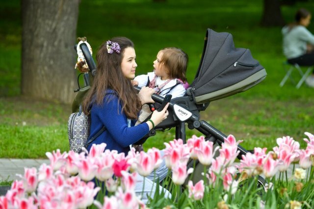    Что за предложение об изменении трудовых льгот для матерей-одиночек?