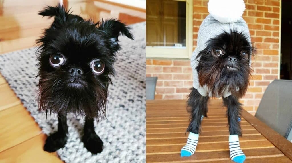 Фото из Pinterest