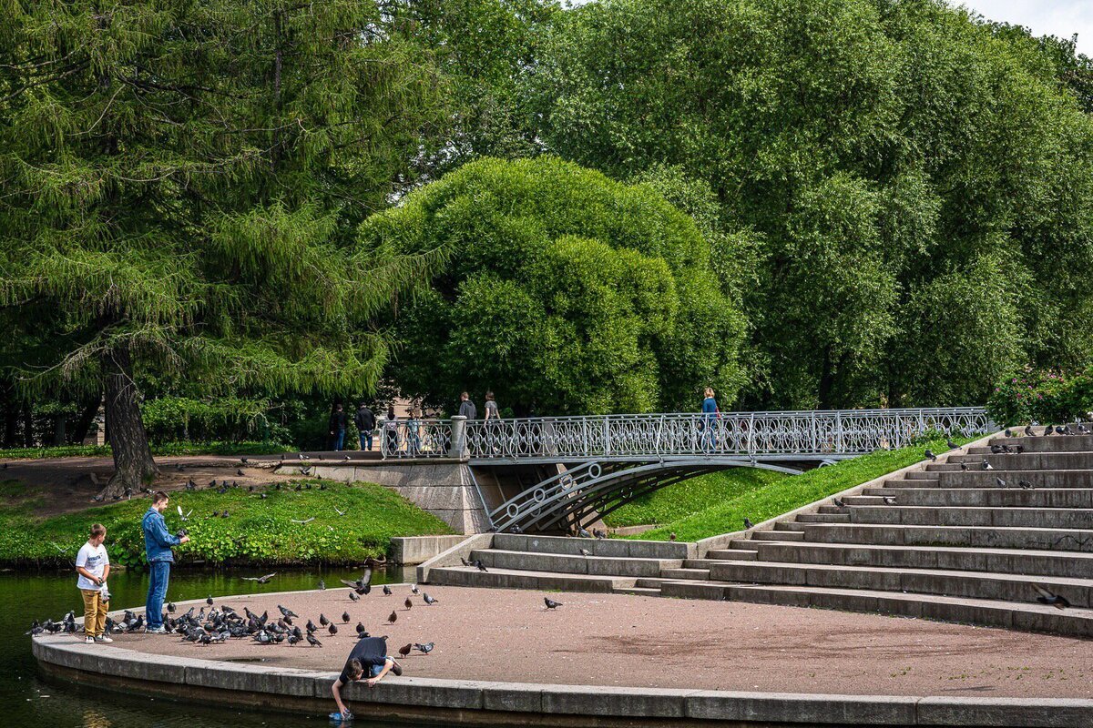 Таврический сад СПБ осень