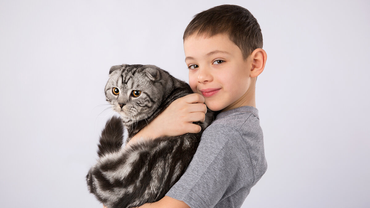 Источник: Яндекс.Картинки