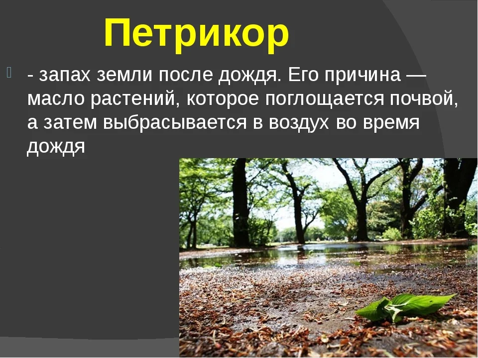 Картинка из Интернета.