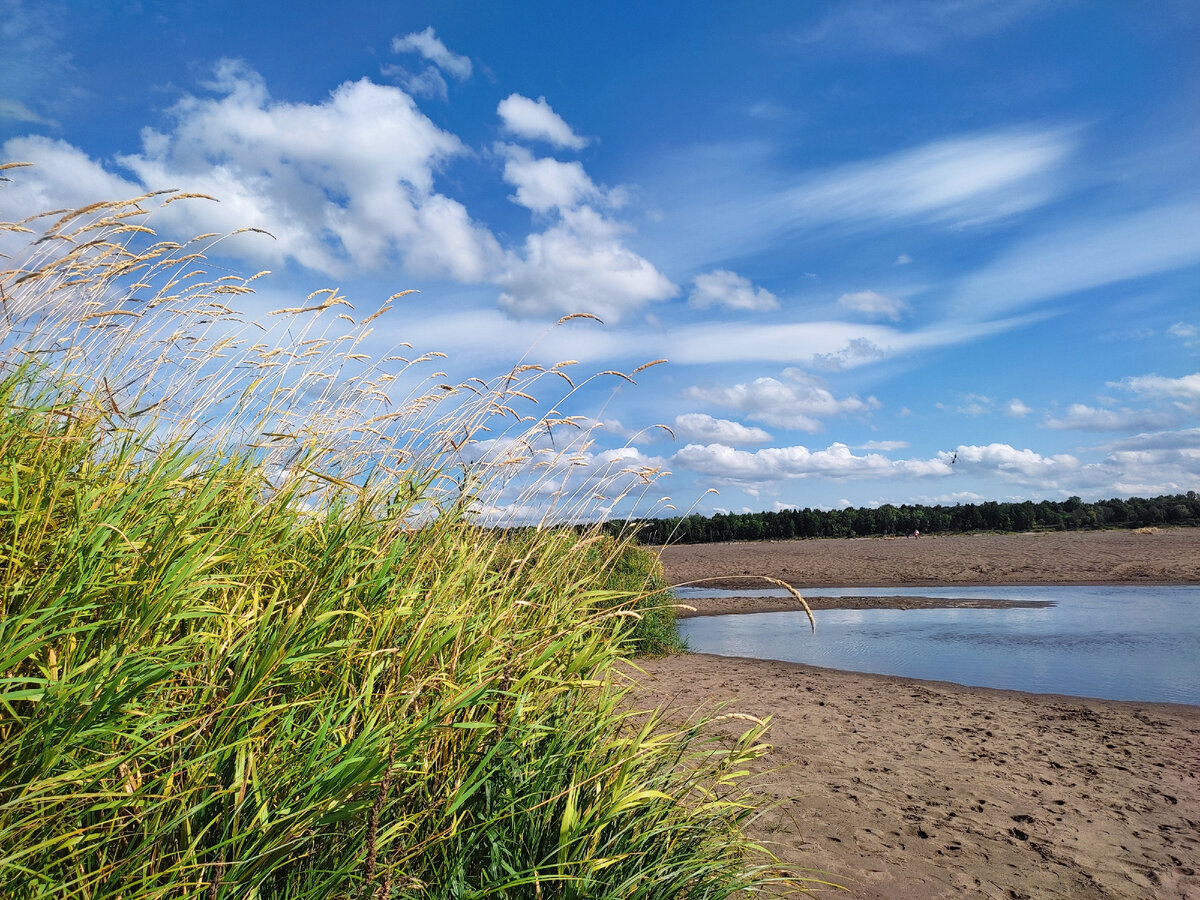 На Каме в Докше. Фото автора. 
