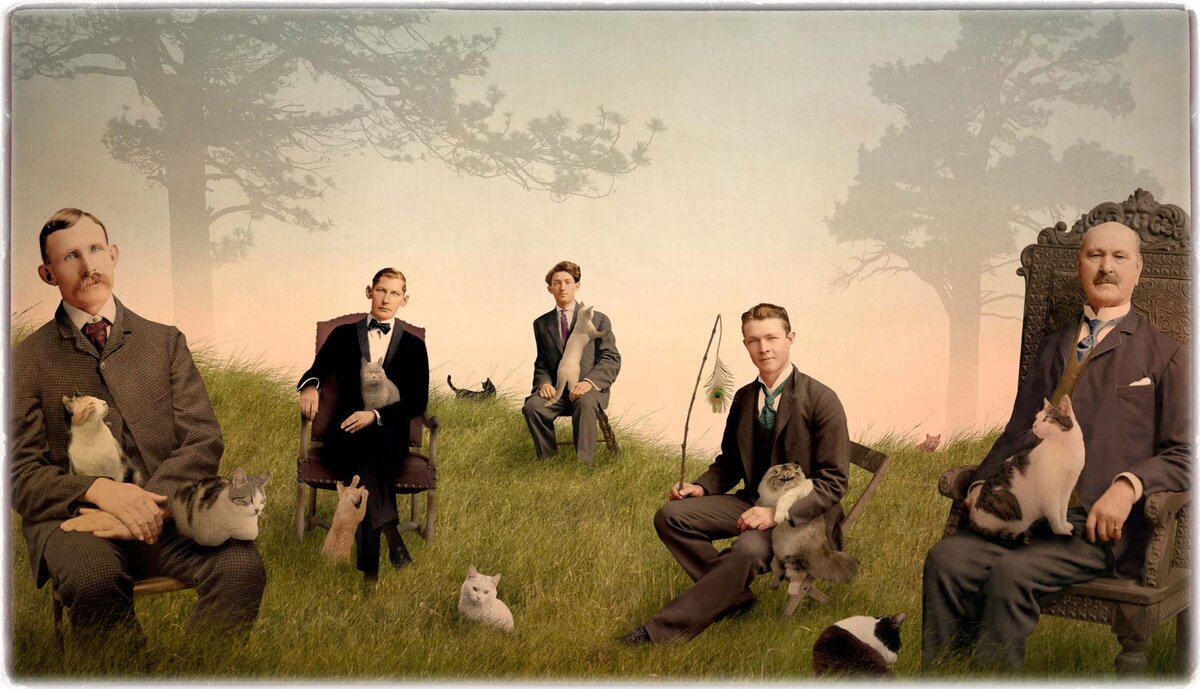 © Корин Гиртсен (Corinne Geertsen). Совет директоров занялся проблемой кошек