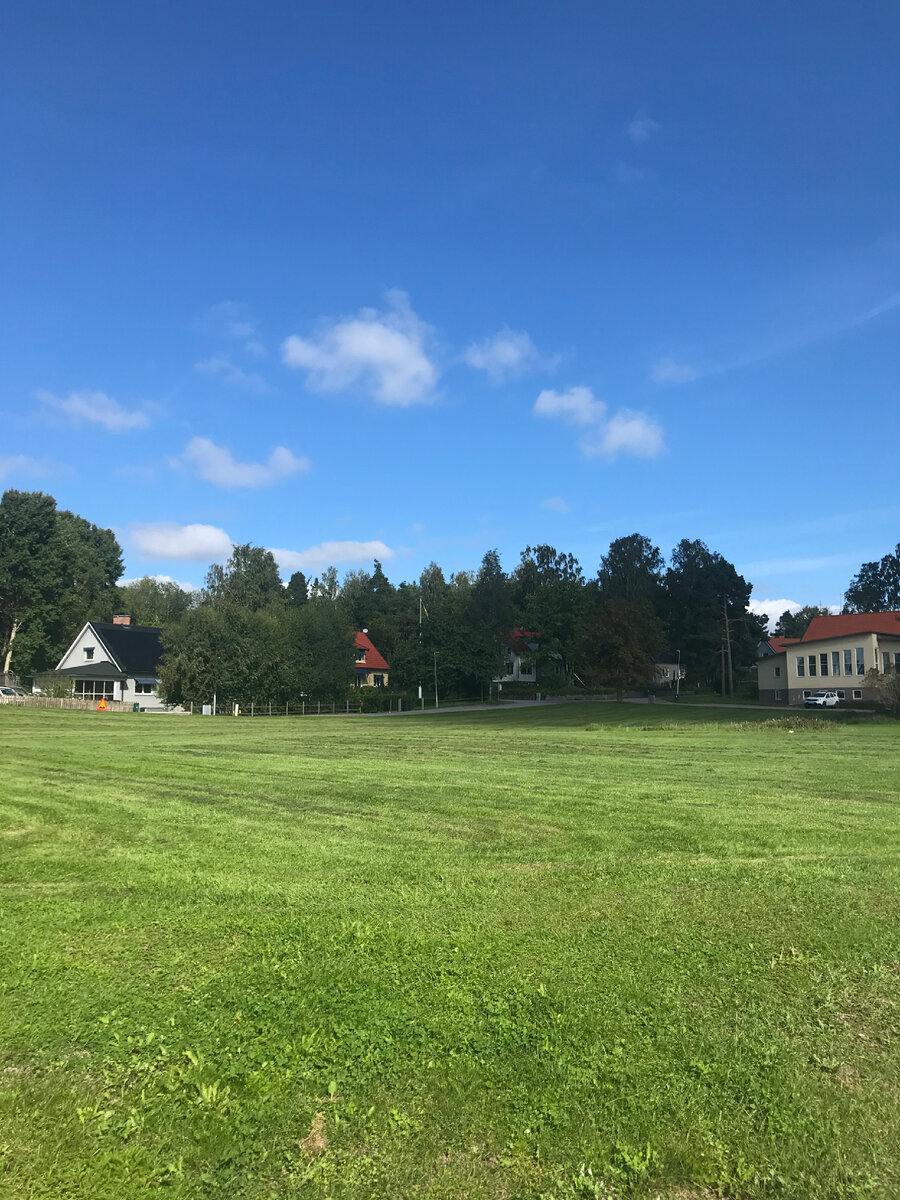 Фото из открытого доступа 