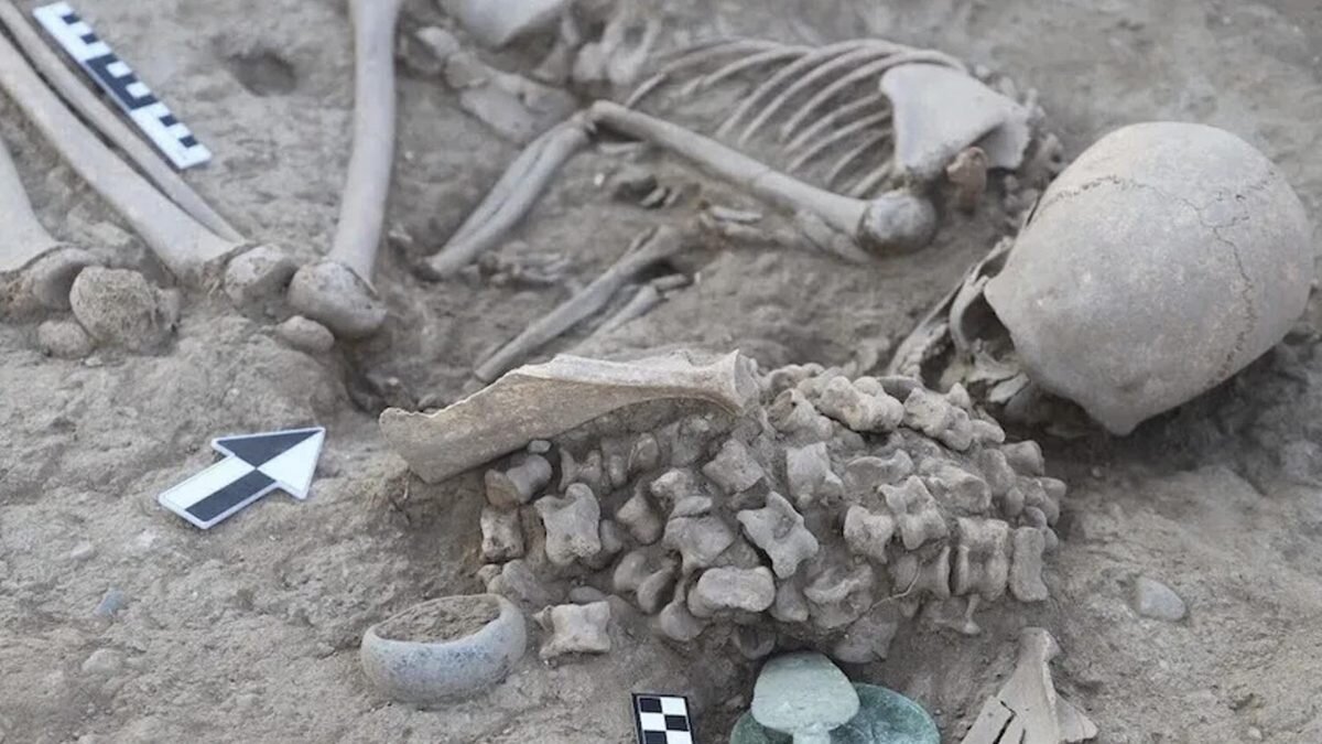    Фото: Kazakh Ministry of Science and Higher Education Август Макаров