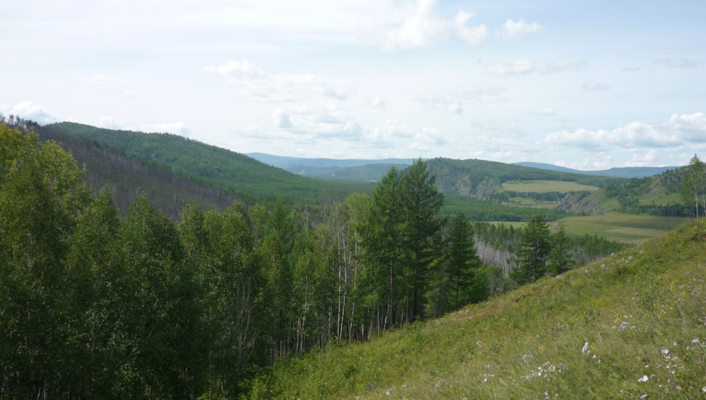    Фото: Сибирское отделение РАН