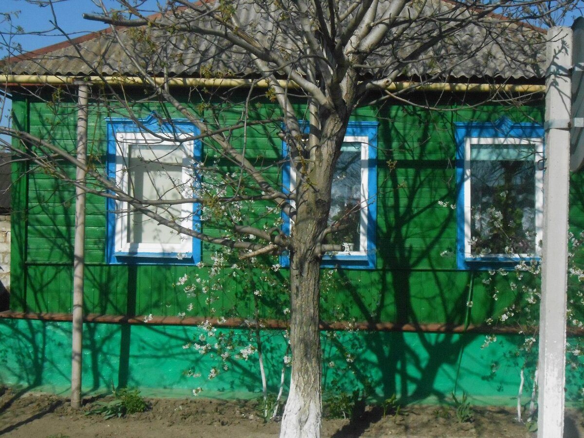  Фото из личного архива автора. Сделано под Луганском 