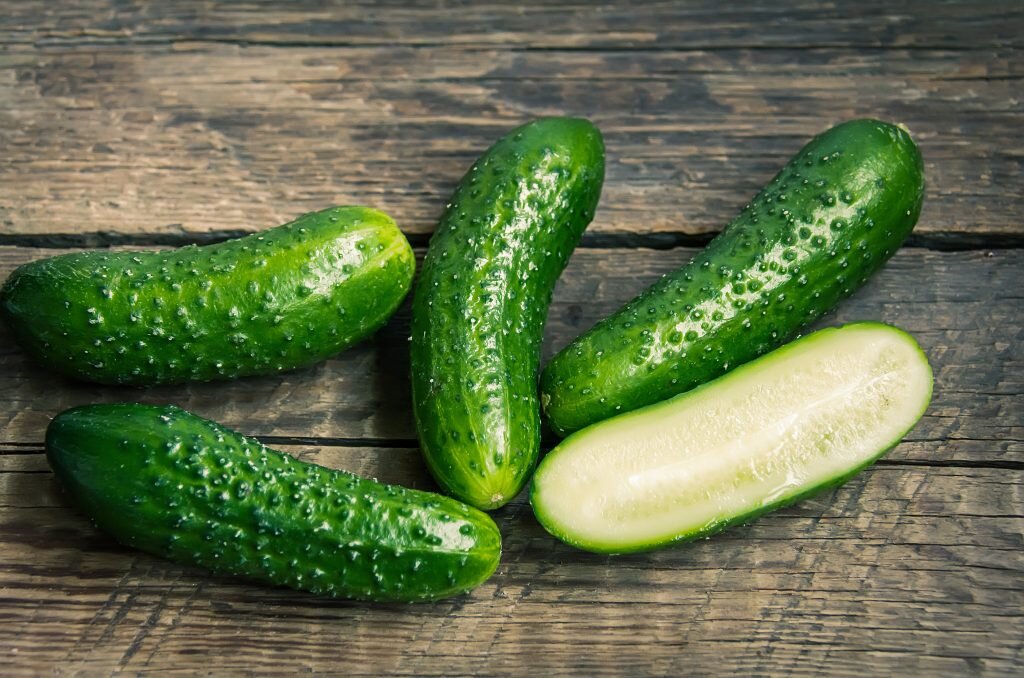 фото с сайта fermoved.ru