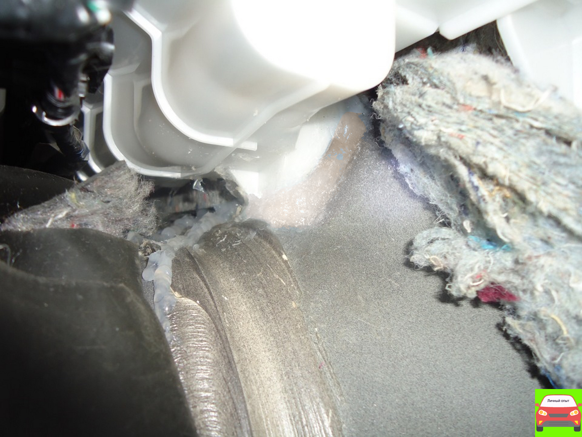 фото взято из свободного доступа