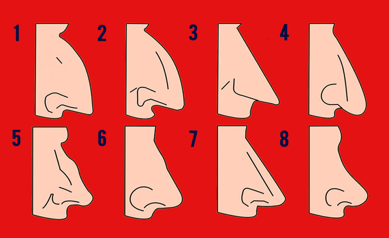 Какой размер носа. Типы Носов. Названия форм Носов. Формы носа. Типы носа.