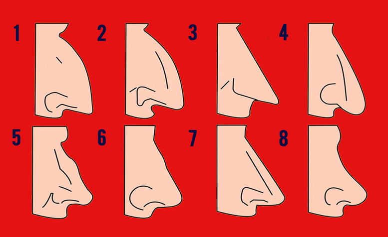 О чем говорит нос мужчины. Типы Носов. Названия форм Носов. Формы носа. Типы носа.