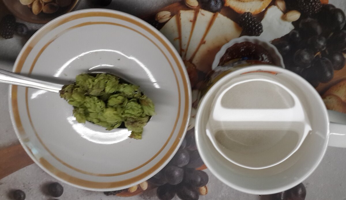 Хмель я собирала в лесу.