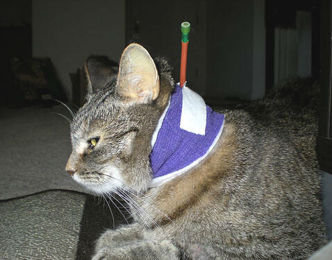 Сахарный диабет