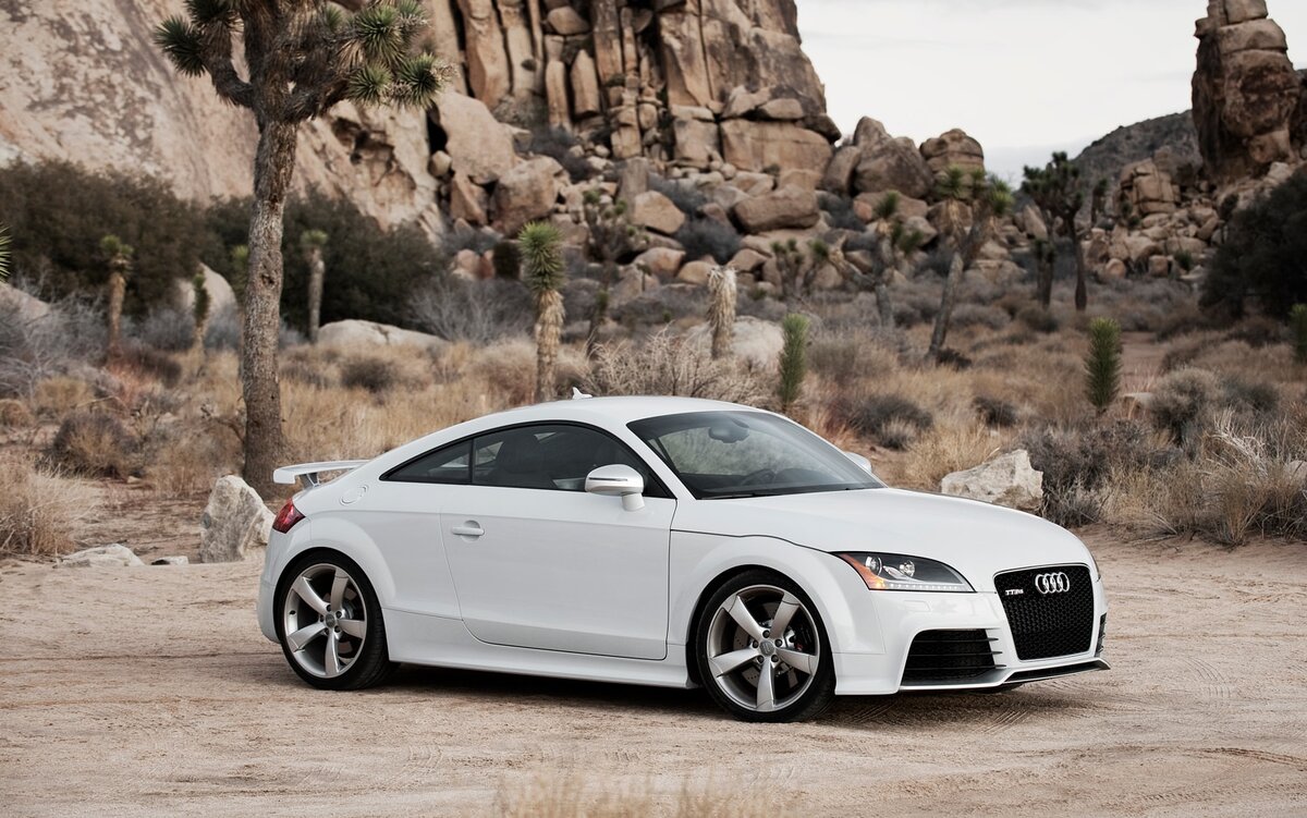 ТТ в своей стихии