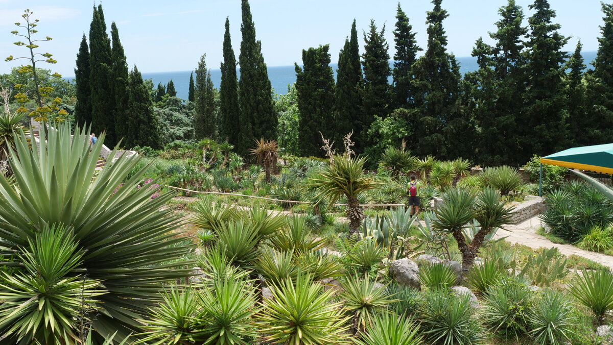 Парк Монтедор. Июнь 2019г.