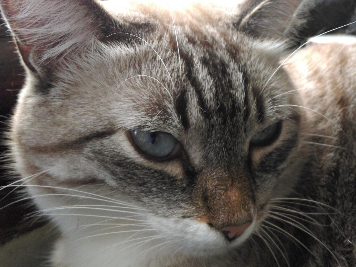 Можно мне уже начать спать?