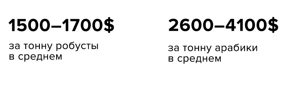 Робуст пятигорск. Арабики арабики и красивый руль арабики арабики.