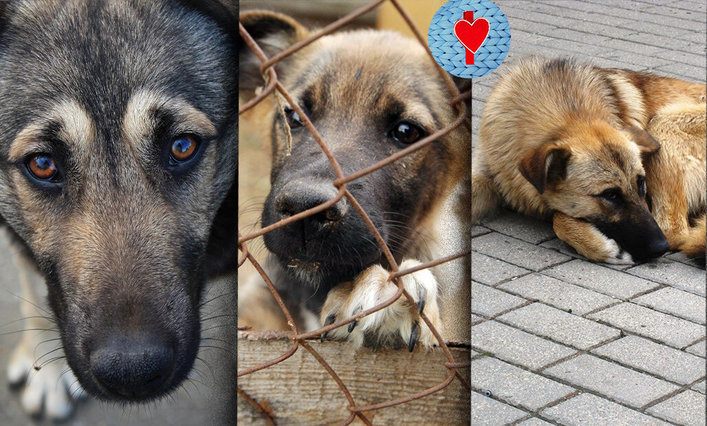 Подпишитесь на канал и поставьте лайк! Вы поможете развитию канала.