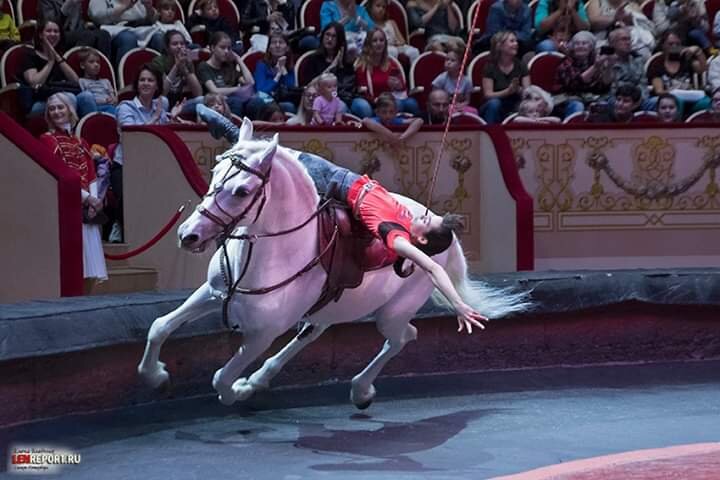 Фото Елены Бледных