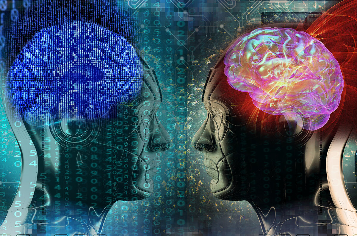 Источник: интернет, свободное использование