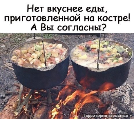  Территория взрослых  