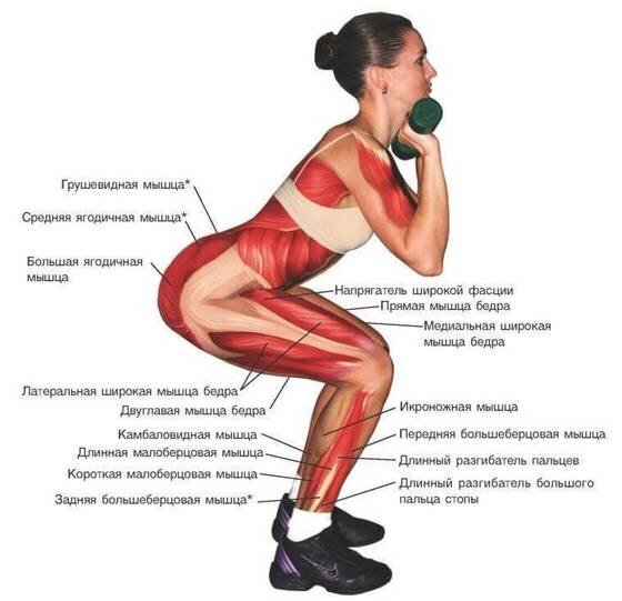 Даже приседания без дополнительного веса дают существенную нагрузку мышцам