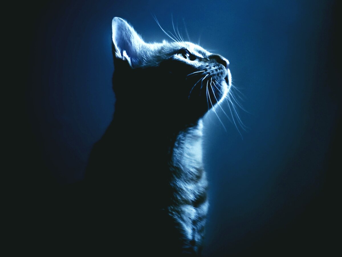 гороскоп на сегодня гороскоп на завтра любовный гороскоп