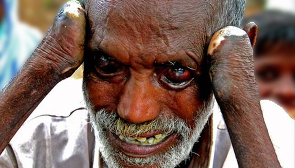 Фото из открытого доступа.