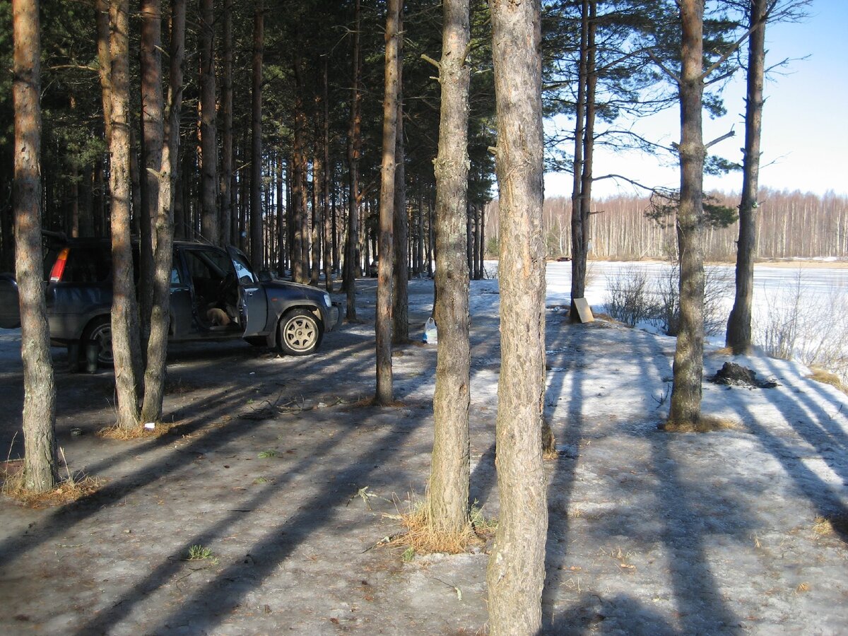 Великолепная стоянка в устье реки Сёбла. Рыбинка. 