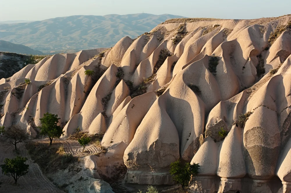 Где взять уникальные фото