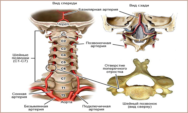 Тахикардия сердца – что это такое?