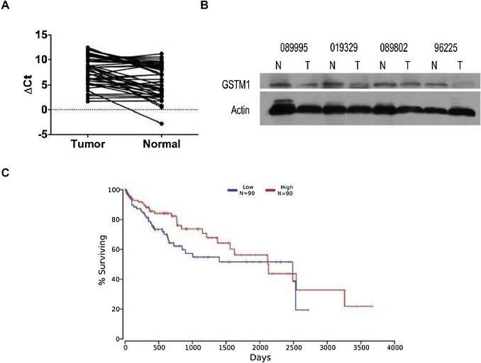 The Sourse: sciencedirect.com/science/article/pii/S0753332219334869