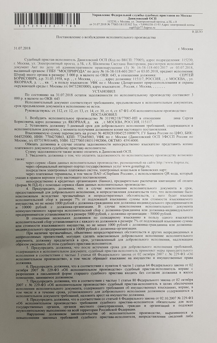 Постановление ИП на 3000 руб