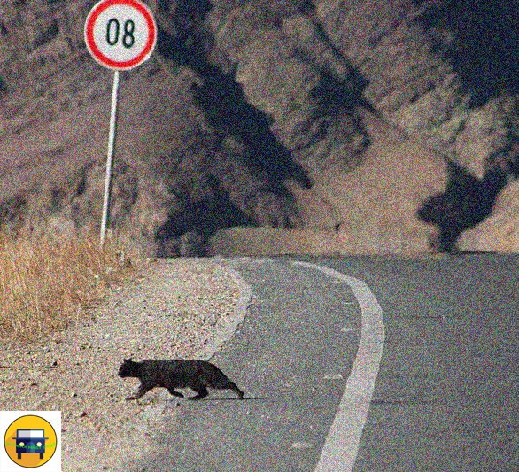 Авто, Автолюбители, Дорога