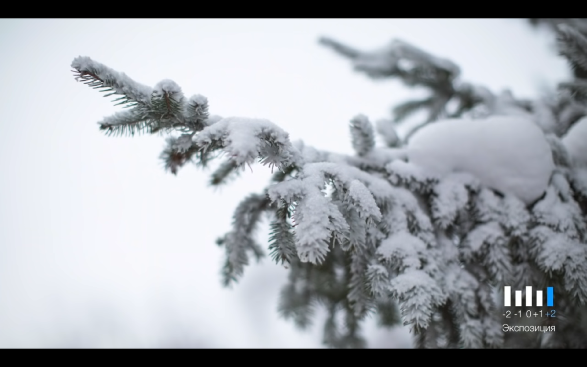 Экспозиция +2 стопа