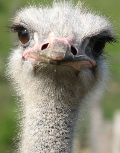 Тоже милаха)