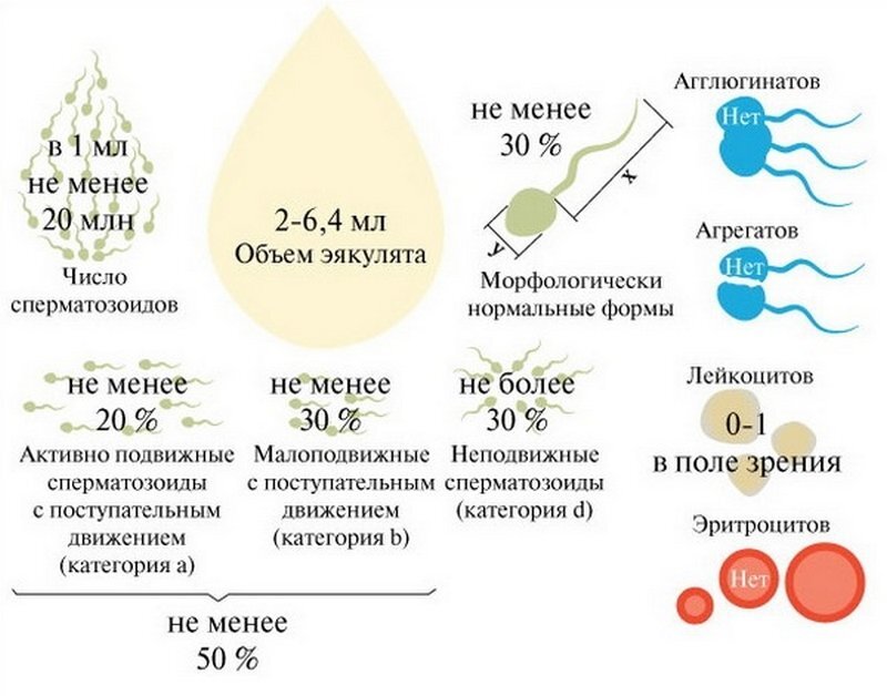 Химический состав спермы