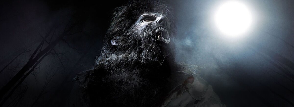 Рассказал эту историю мне местный лесник! Рассказ поведу от его имени.