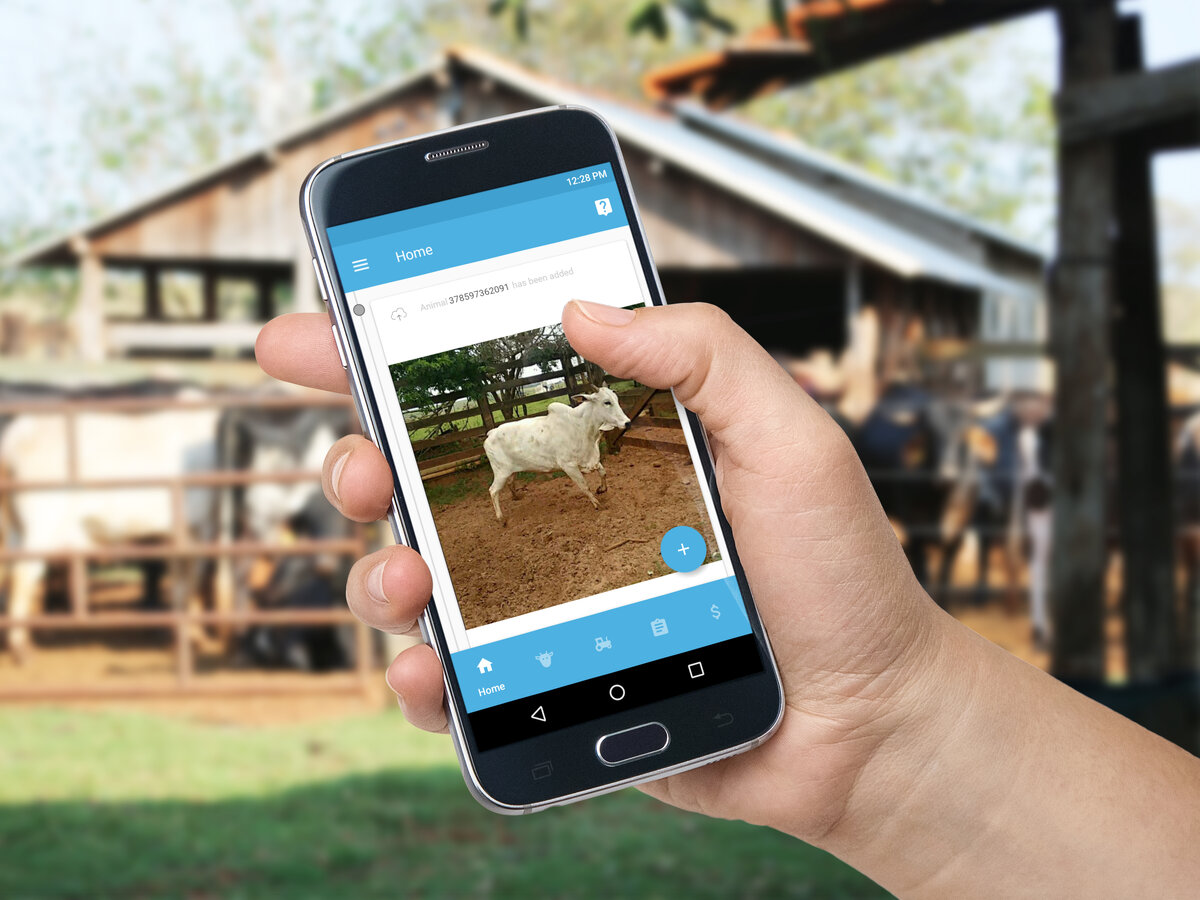 С помощью приложения можно внести в базу данные по каждому животному