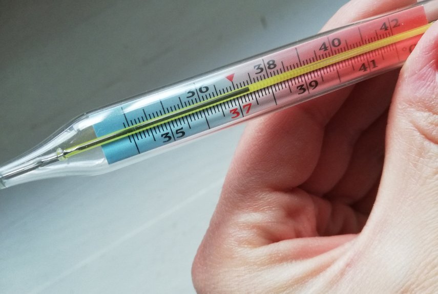 Фото: yellmed.ru  