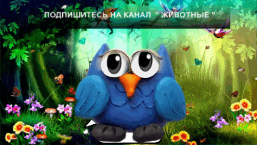 -11