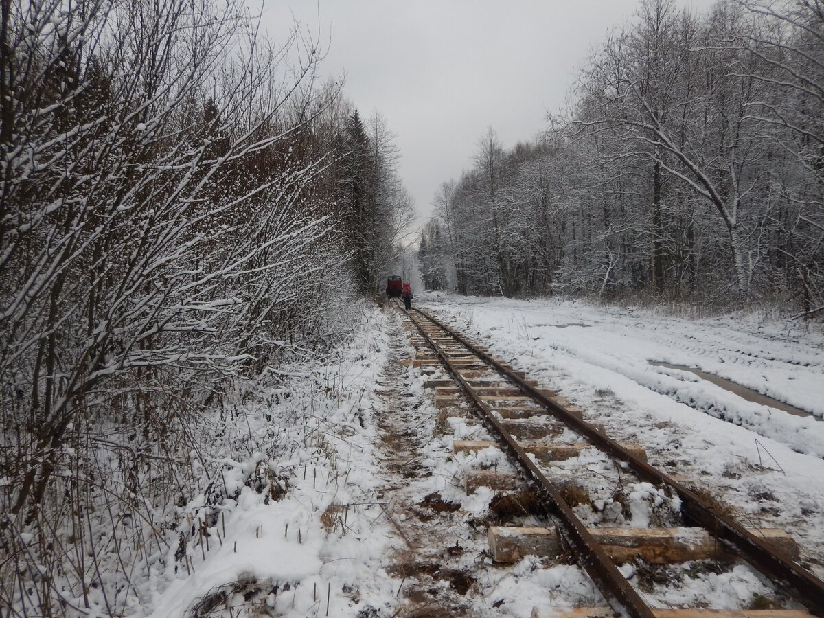 Идём по Пижемской УЖД